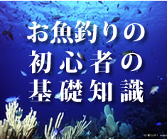 お魚釣りの初心者の基礎知識